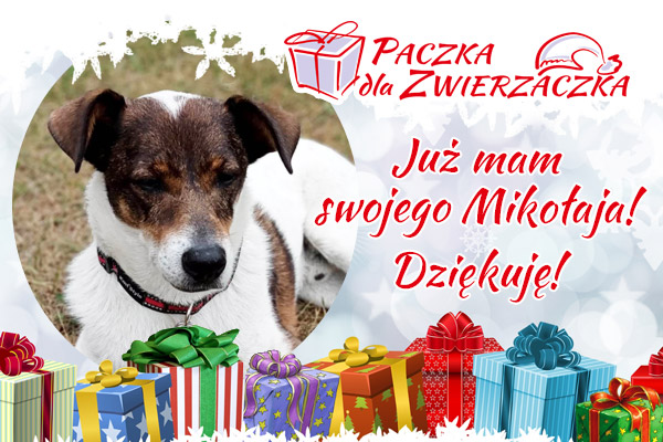 Oczko