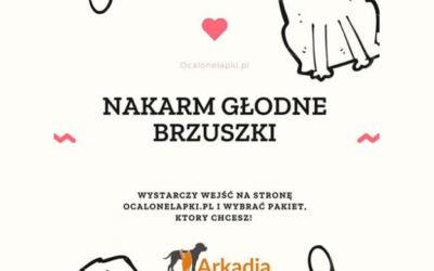 Nakarm głodne brzuszki!