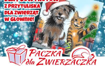 Mikołaju, dokąd pędzisz?