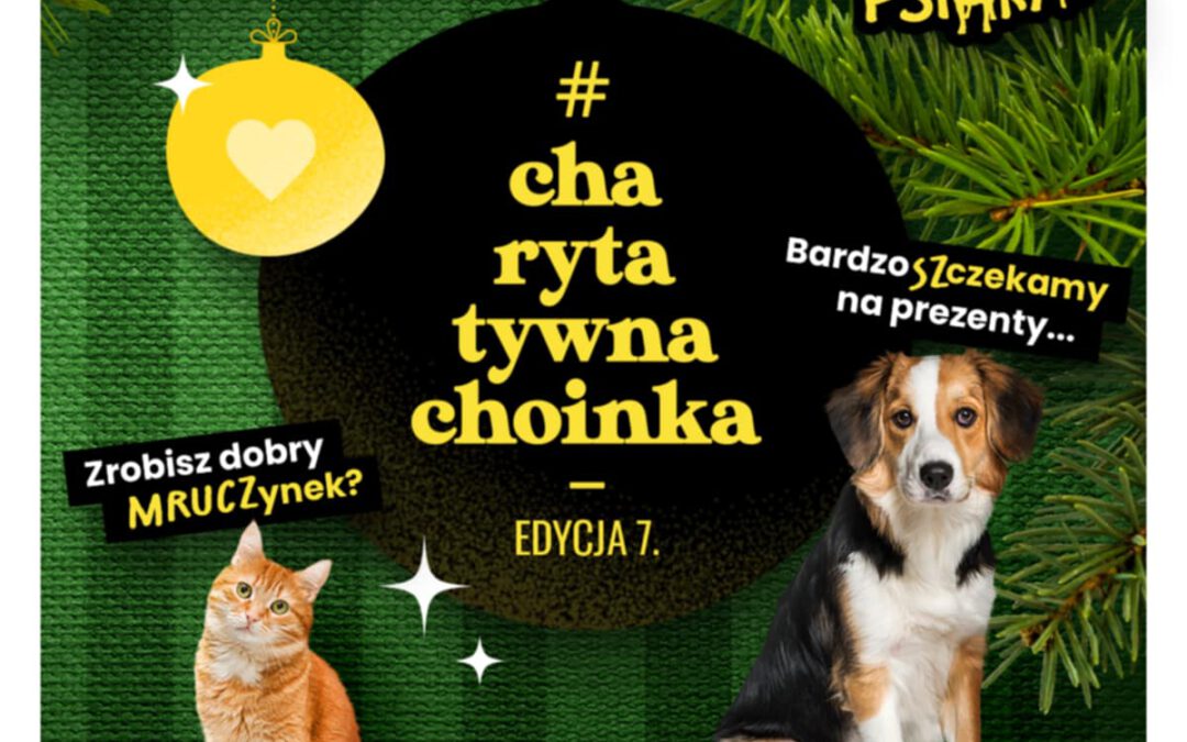 Akcja 💚Charytatywna choinka 🎄💚